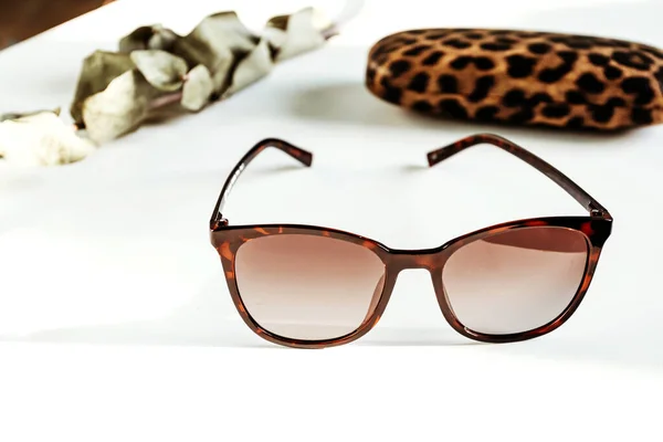 Elegantes Gafas Accesorios Para Mujer Tienda Óptica Cuidado Salud Ocular —  Fotos de Stock