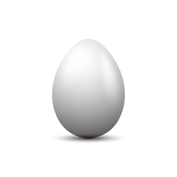 Weiße Farbe Eier Vektor — Stockvektor