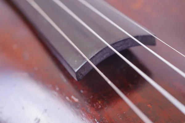 A violin image on the white background close up — Stock Photo, Image