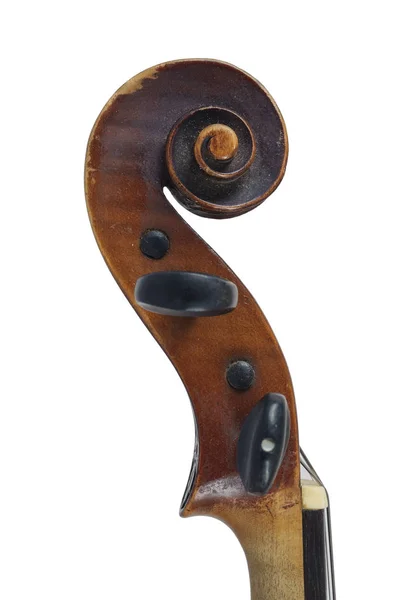白い背景にヴァイオリンのイメージ — ストック写真