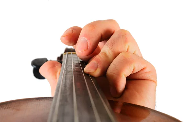 Скрипка в руці ізольована Стокова Картинка