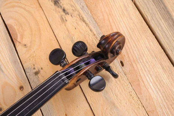 beyaz zemin üzerinde bir keman görüntü