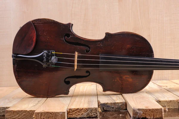 beyaz zemin üzerinde bir keman görüntü