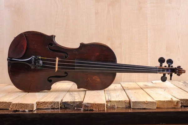 beyaz zemin üzerinde bir keman görüntü