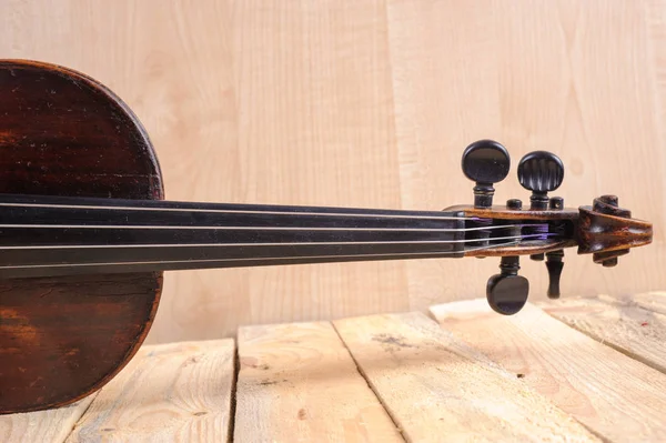 beyaz zemin üzerinde bir keman görüntü