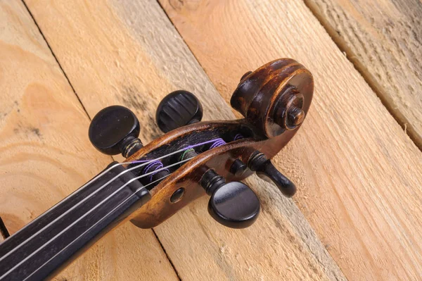 beyaz zemin üzerinde bir keman görüntü