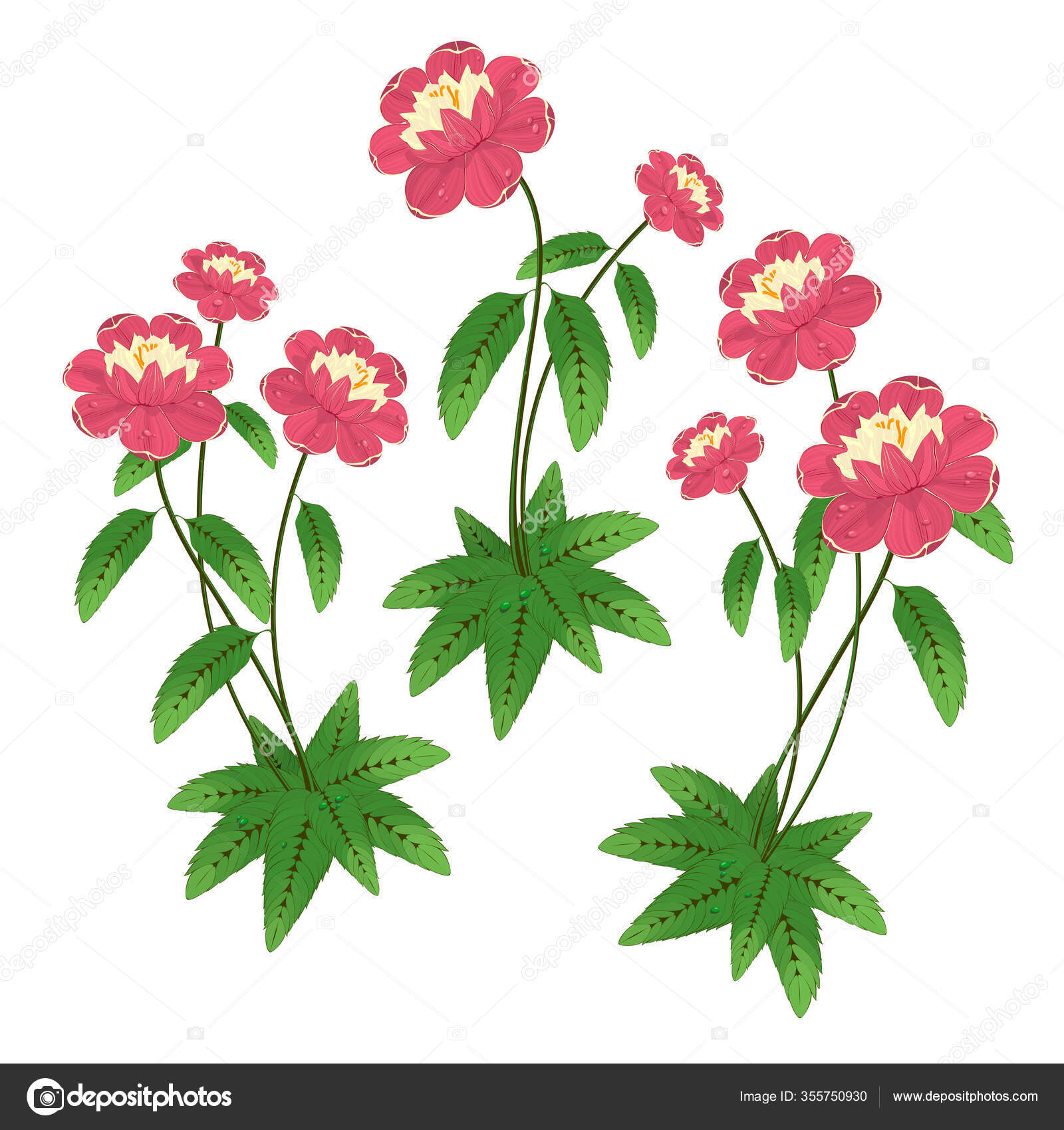 花柄ストックベクター ロイヤリティフリー花柄イラスト Depositphotos 花柄ストックベクター ロイヤリティフリー花柄イラスト Depositphotos
