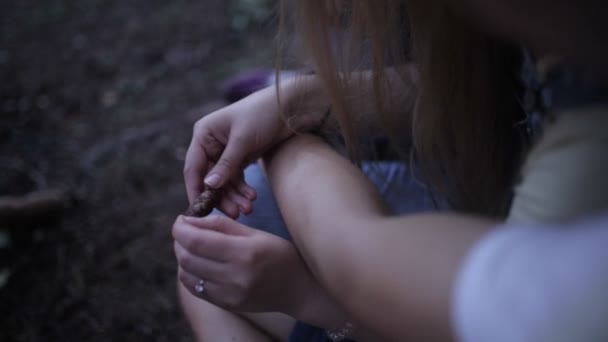 A srác a lány ölelést az erdőben. Közeli kép: egy lány kezében, ő, aki egy kúp. — Stock videók