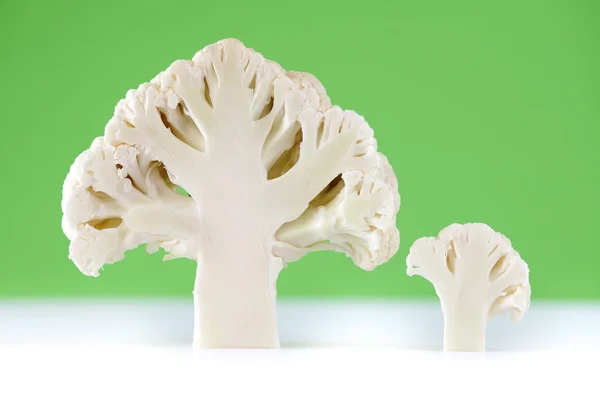 Brokoli Menekşe bacground Tarih kesiti