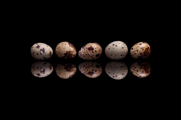 Siyah yansıtıcı arka plan üzerine beş bıldırcın yumurtası