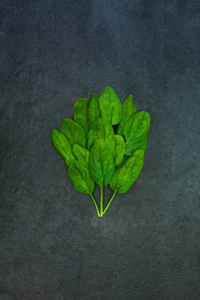 Taze yeşil ıspanak yaprakları izole bac üzerinde koyu gri kayrak taş