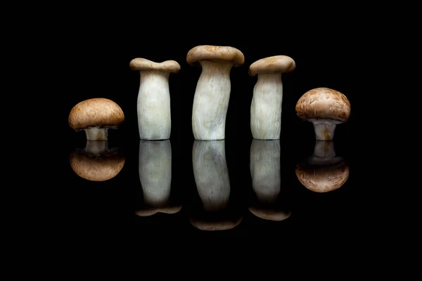 Üç Kral istiridye mantar ve satır ISO iki kahverengi petrol