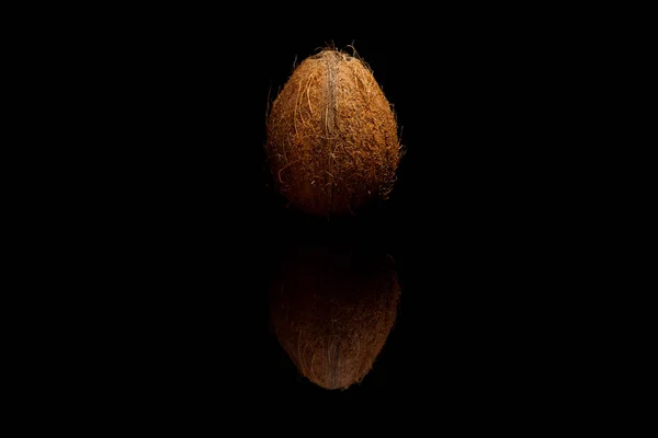 Hela brun kokosnöt isolerad på svart bakgrund — Stockfoto