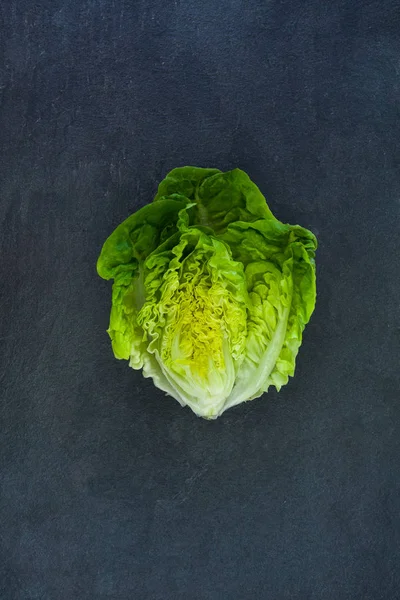 Singola lattuga bambino isolato su sfondo grigio ardesia pietra — Foto Stock