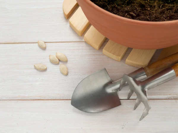 Preparation for planting seeds — Stock Photo, Image