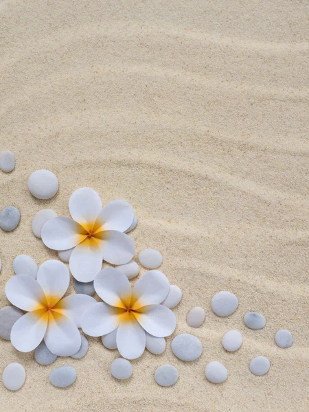 Tiareblommor och stenar i sanden — Stockfoto