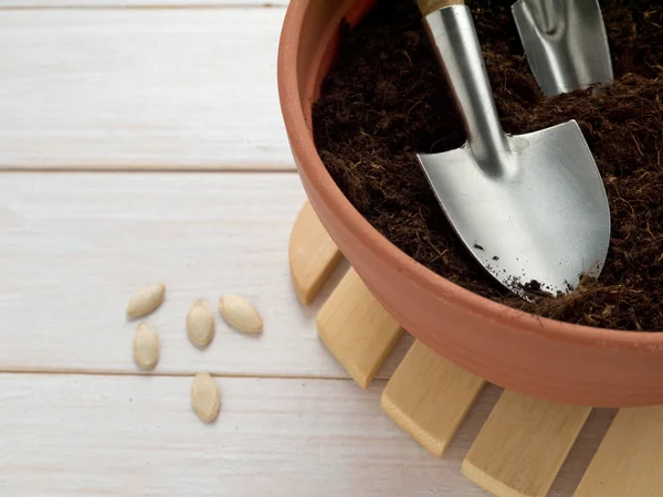 Miniature shovel in the pot — Stock Photo, Image