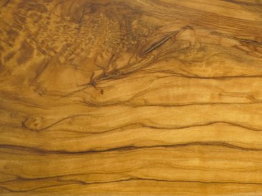 zeytin ağacı dokusu 