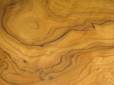 zeytin ağacı dokusu