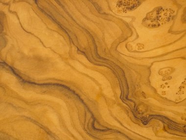 zeytin ağacı dokusu