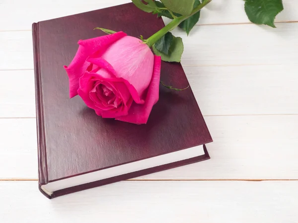 Pink rose on the book