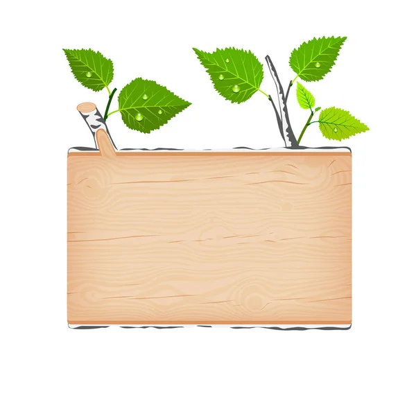 Bříza vývěsní štít dřevěný se zelenými listy a kapky vody — Stockový vektor