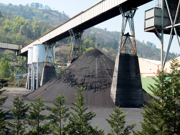 Coal processing plant