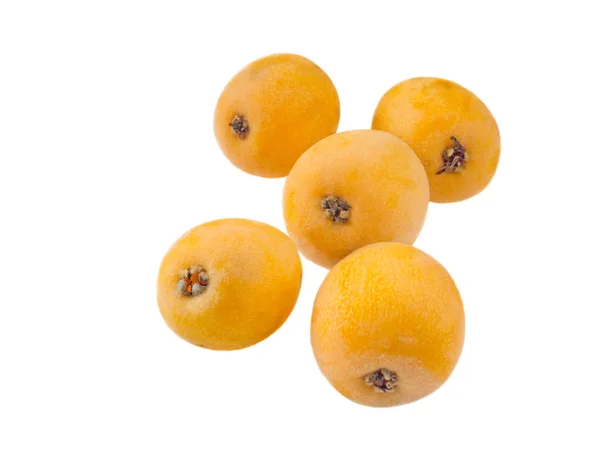 Vijf vruchten van de loquat geïsoleerd op wit — Stockfoto