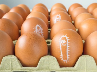 Salmonella bacterium drawn on eggs clipart