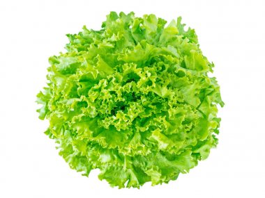Yeşil batavia marul salata kafa 