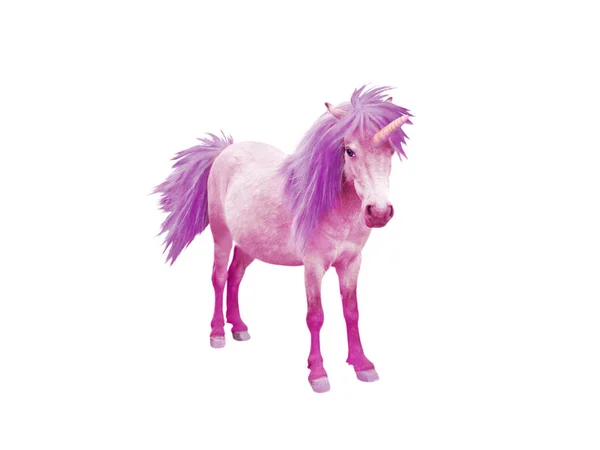 Pink baby unicorn — Stock Photo, Image