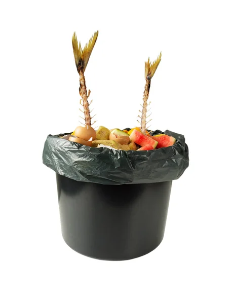 Organic waste in the black bucket — Stock Photo, Image