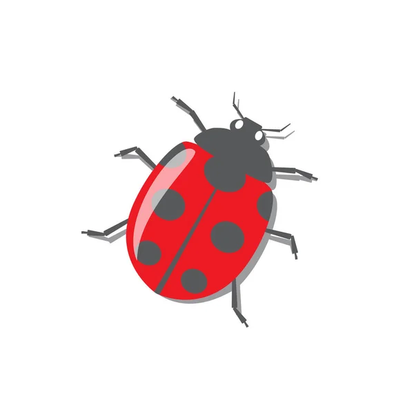 Red ladybug with shadow — Stock Vector