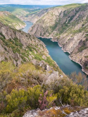 Sil nehir kanyonun Ourense, Ga nin ili heathery banka