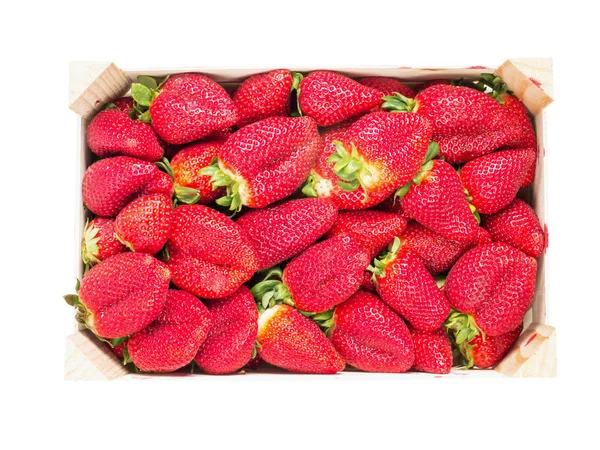 Box of large size strawberries top view — Stock Photo, Image