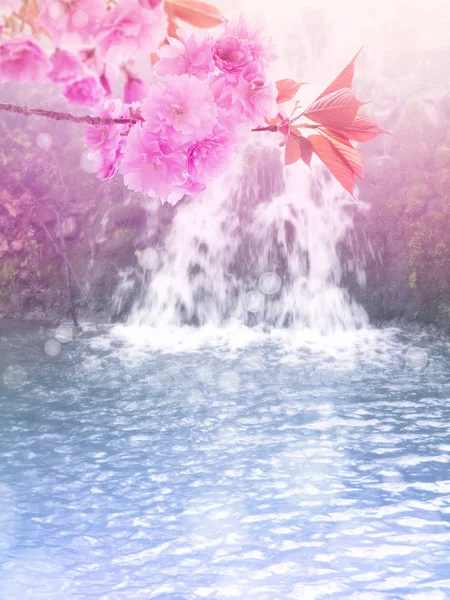 Розовые цветы сакуры на фоне водопада — стоковое фото