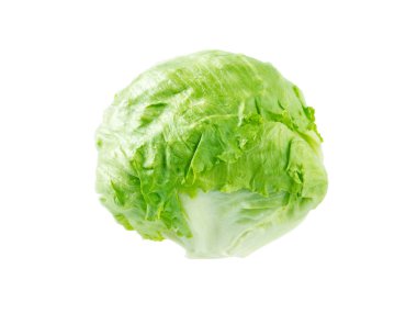 Marul salata kafa 