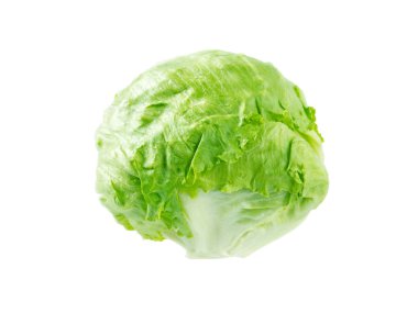 Iceberg lettuce salad head  clipart
