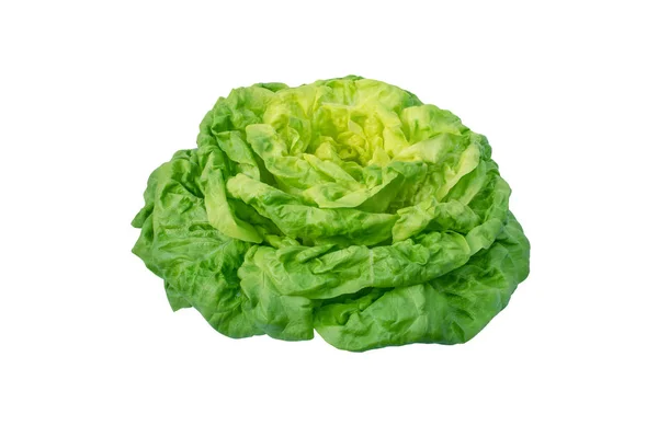 Lettuce salad head isolated on white — ストック写真