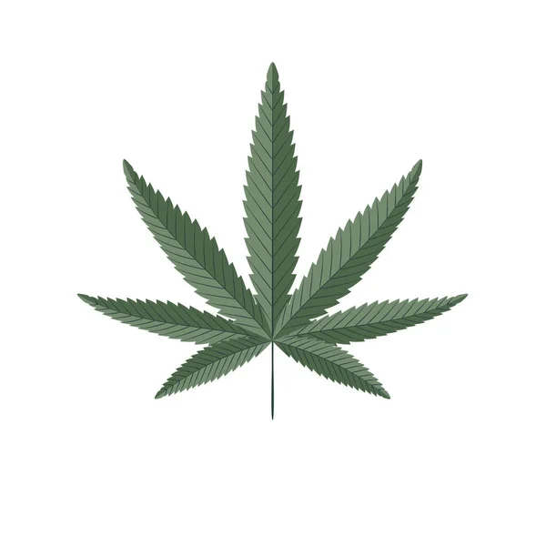 Cannabis Groen Blad Vector Illustratie — Stockvector