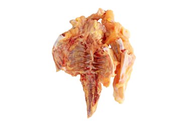 Çiğ sarı mısırla beslenmiş tavuk leşi beyazda izole edilmiş..