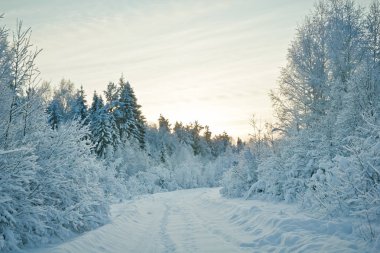 Kış Komi Cumhuriyeti