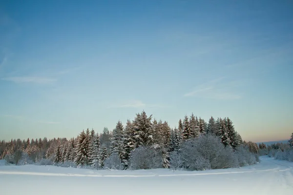 Inverno na República de Komi — Fotografia de Stock