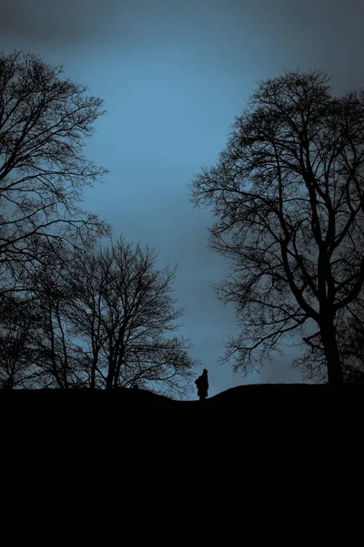 Siluet tepe üzerinde