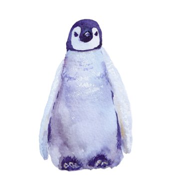 sulu boya resim. İmparator penguenler. Beyaz arka plan üzerinde izole