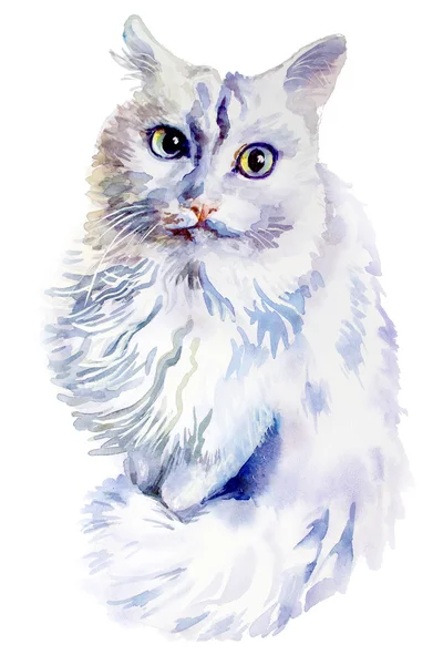 Coleta de animais: Cat. Watercolor ilustração home animais de estimação — Fotografia de Stock