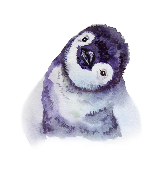 Ilustração aquarela. Pinguins Imperadores. isolado em fundo branco — Fotografia de Stock