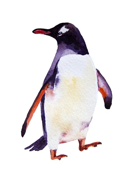 Ilustração aquarela. Pinguins Imperadores. isolado em fundo branco — Fotografia de Stock