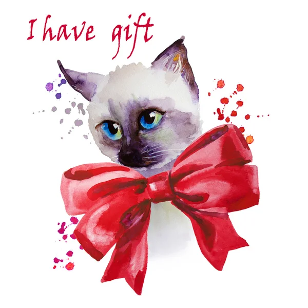 Állati gyűjtemény: macska. Akvarell illusztráció — Stock Fotó