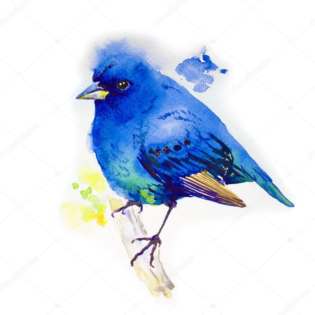 Watercolor Bluebird On Branch Hand Painted Illustration isolated on white background